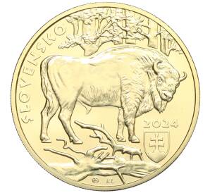 5 евро 2024 года Словакия «Зубр» — Фото №2