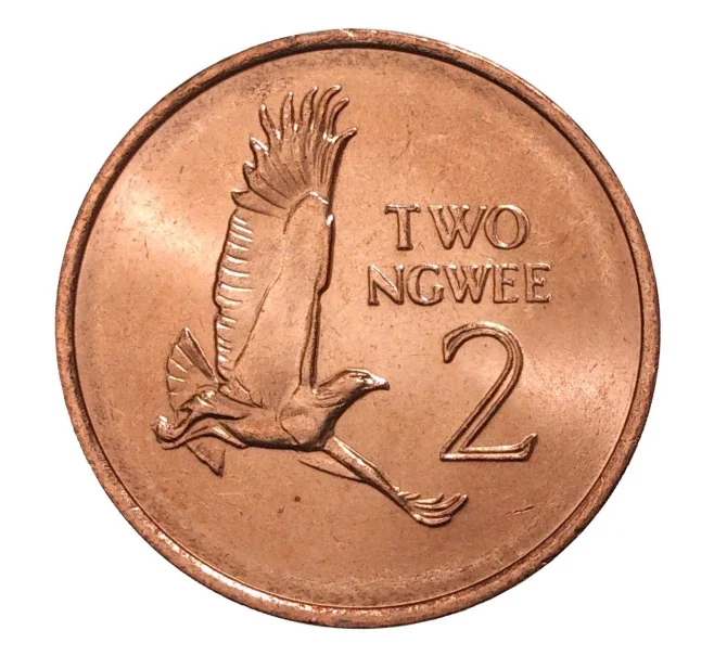 Монета 2 нгве 1983 года Замбия (Артикул M2-7681)