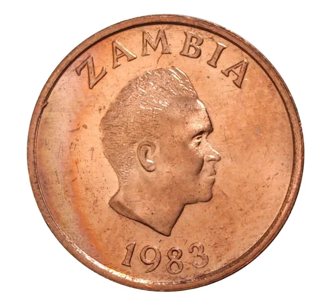 Монета 1 нгве 1983 года Замбия (Артикул M2-7755)