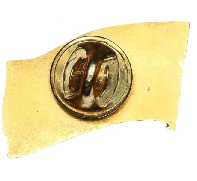 Значок «Международная академия информатизации» (Артикул: K12-29191) — Фото №2