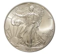 Монета 1 доллар 2013 года США «Шагающая Свобода» (Артикул M2-8093)