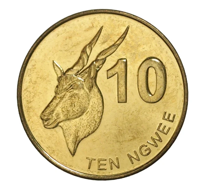 Монета 10 нгве 2012 года Замбия (Артикул M2-8140)