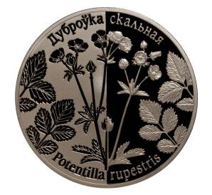 1 рубль 2017 года Белоруссия «Возрожденные растения — Лапчатка скальная» — Фото №1