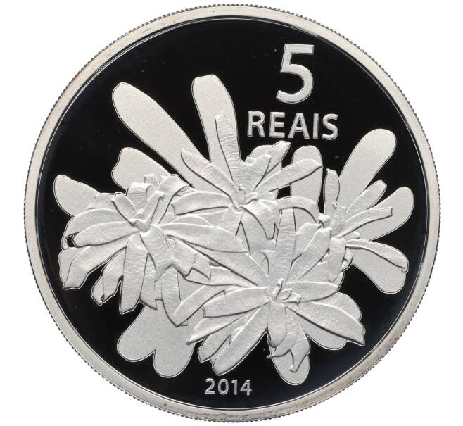 Монета 5 риалов 2014 года Бразилия «XXXI летние Олимпийские Игры в Рио-де-Жанейро 2016 года — Гребной спорт» (Артикул: M2-77205) — Фото №1