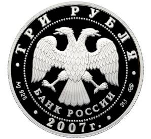 3 рубля 2007 года СПМД «Международный полярный год» — Фото №2