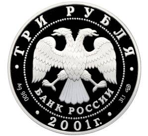 3 рубля 2001 года СПМД «10 лет Содружеству Независимых Государств» — Фото №2