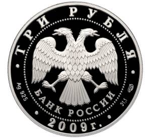 3 рубля 2009 года СПМД «300 лет Полтавской битве» — Фото №2