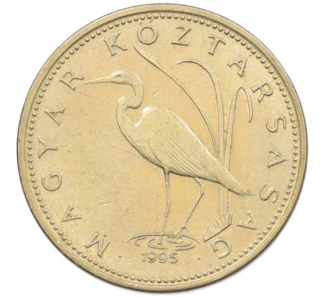 Монета 5 форинтов 1995 года Венгрия (Артикул: K12-37215) — Фото №1