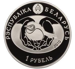 1 рубль 2010 года Белоруссия «Птица года — Обыкновенная пустельга» — Фото №2