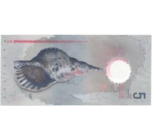 5 лаари 2017 года Мальдивы — Фото №2