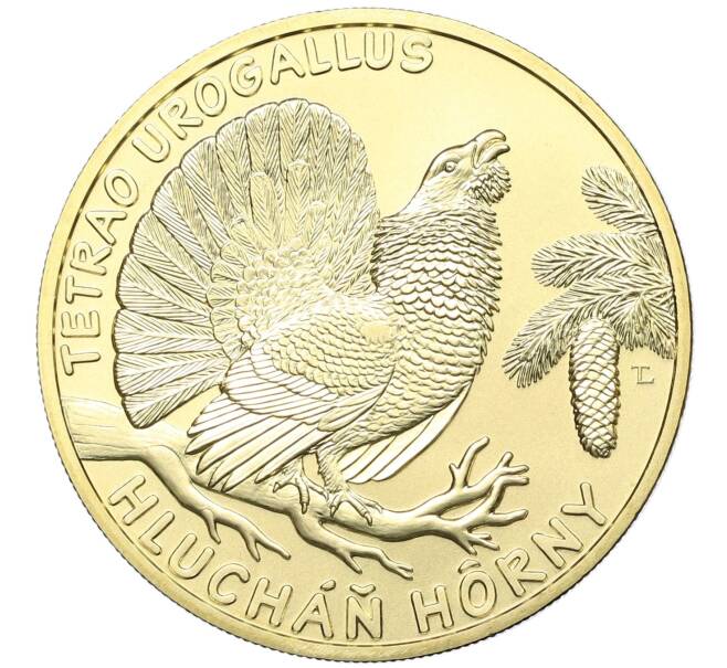 Монета 5 евро 2024 года Словакия «Глухарь» (Артикул: M2-78639) — Фото №1