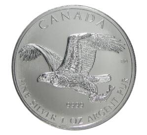 5 долларов 2014 года Канада «Хищные птицы — Белоголовый орлан»