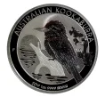 Монета 1 доллар 2019 года Австралия — Австралийская кукабурра (Артикул M2-30208)