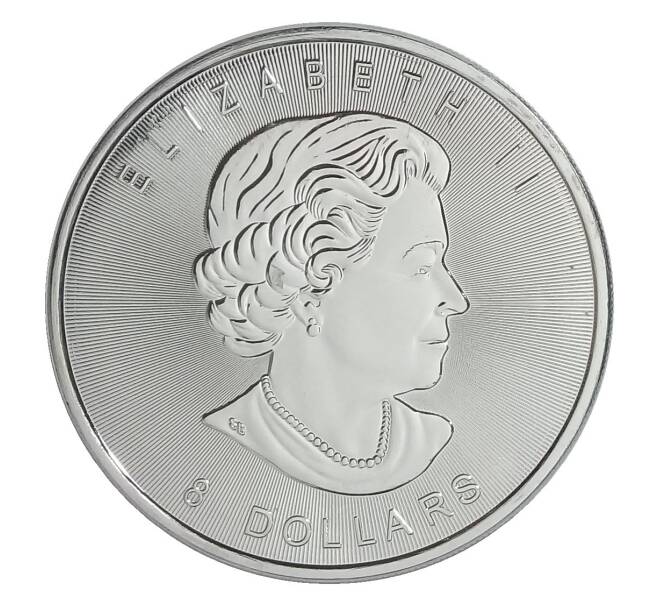 Монета 8 долларов 2015 года Канада — Полярный медведь (Артикул M2-30212)