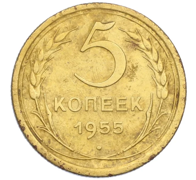 Монета 5 копеек 1955 года (Артикул K12-38830)