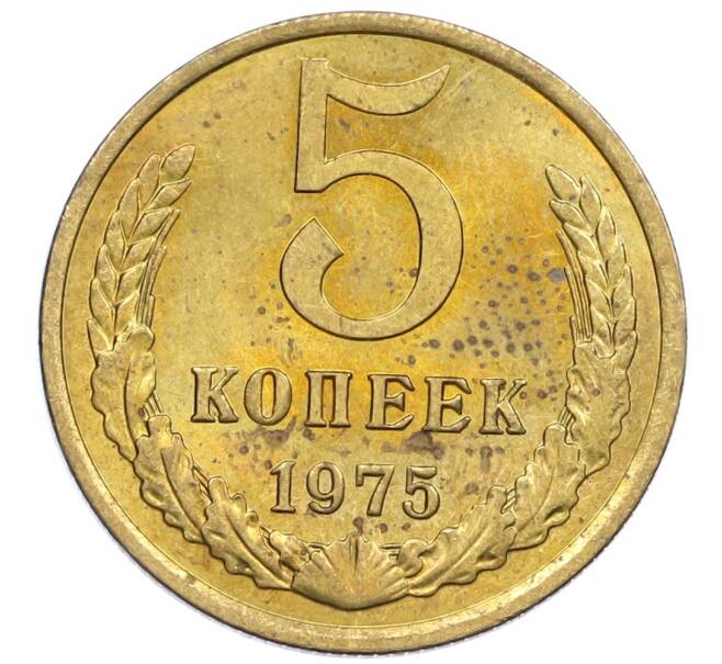 Монета 5 копеек 1975 года (Артикул K12-39047) — Фото №1