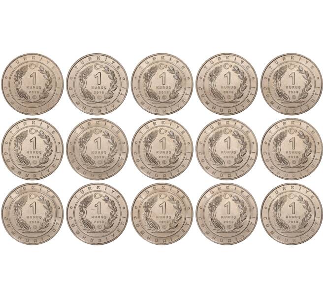 Набор монет 1 куруш 2018 года Турция «Птицы Анатолии» (Артикул M3-0882)