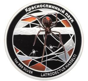 1 доллар 2011 года Тувалу «Красноспинный паук (Latrodectus hasselti)» — Фото №1