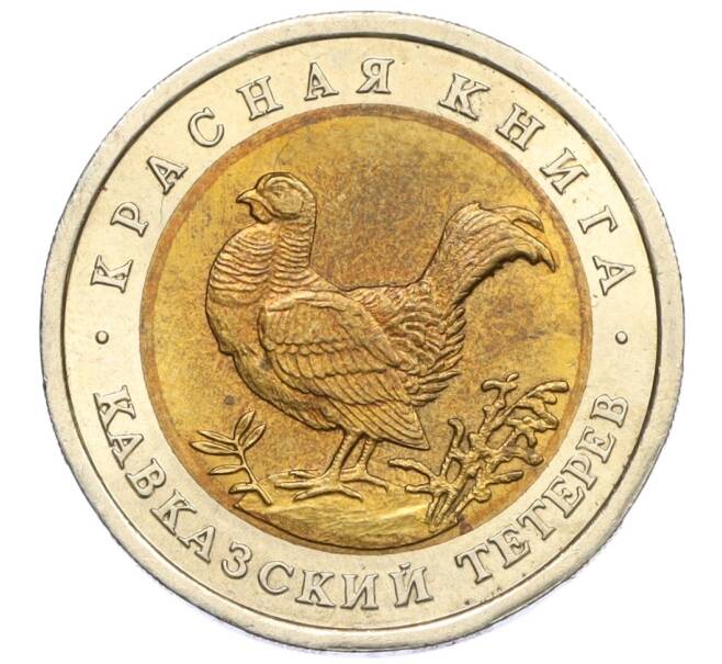 Монета 50 рублей 1993 года ЛМД «Красная книга — Кавказский тетерев» (Артикул: M1-60418) — Фото №1