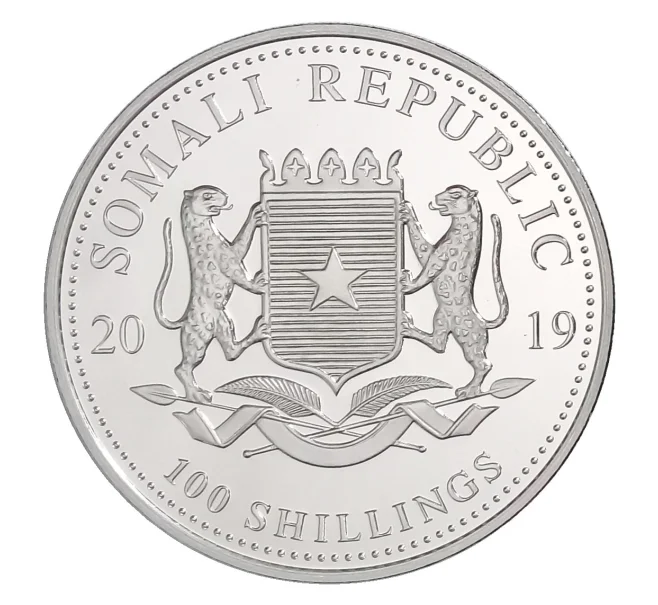 Монета 100 шиллингов 2019 года Сомали — Слон (Артикул M2-30277)
