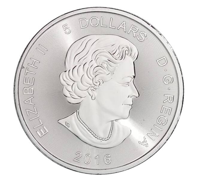 Монета 5 долларов 2016 года Канада «Хищники — Пума» (Артикул M2-30278)