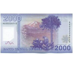 2000 песо 2009 года Чили — Фото №2