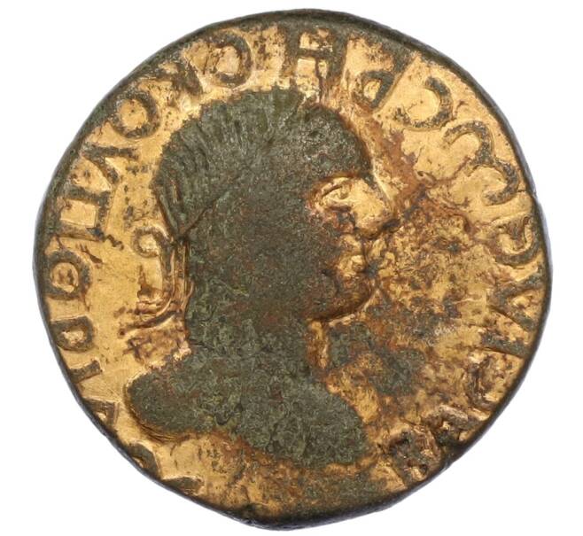 Монета Денарий 211-227 года Царство Боспор (Рискупорид II) (Артикул: T11-13585) — Фото №1