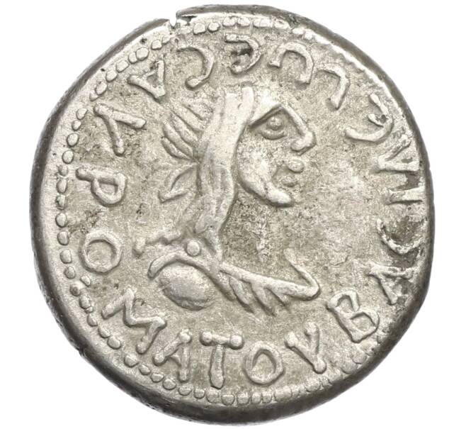 Монета Статер 230 года Царство Боспор (Савромат III) (Артикул: T11-13591) — Фото №1