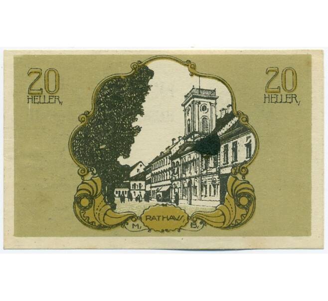 Банкнота 20 геллеров 1920 года Австрия — город Бад-Халль (Нотгельд) (Артикул: K12-41828) — Фото №1