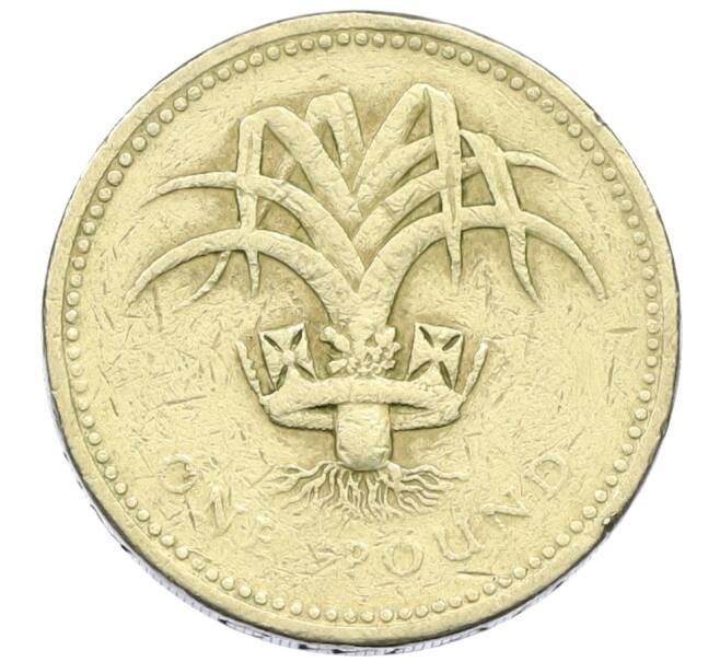 Монета 1 фунт 1985 года Великобритания (Артикул: T11-14216) — Фото №1