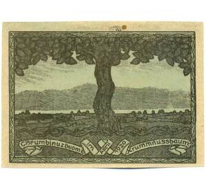 20 геллеров 1920 года Австрия — коммуна Крумнусбаум (Нотгельд) — Фото №2