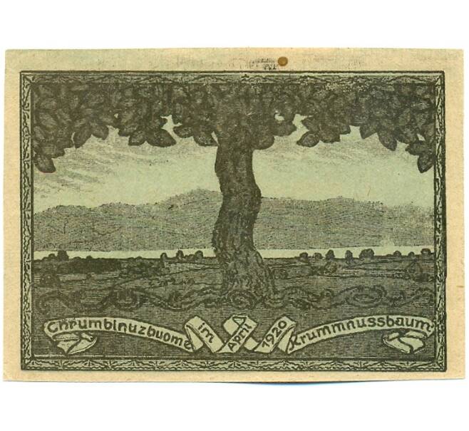 Банкнота 20 геллеров 1920 года Австрия — коммуна Крумнусбаум (Нотгельд) (Артикул: K12-42111) — Фото №2