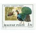 Почтовая марка 1 форинт 1977 года Венгрия «Конголезский павлин» (Артикул: T11-14328) — Фото №1