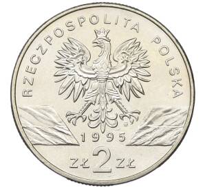 2 злотых 1995 года Польша «Всемирная природа — Сом» — Фото №2