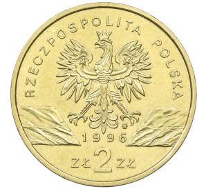 2 злотых 1996 года Польша «Всемирная природа — Еж» — Фото №2