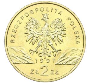 2 злотых 1997 года Польша «Всемирная природа — Жук-олень» — Фото №2
