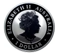 Монета 1 доллар 2019 года Австралия — Австралийский Клинохвостый Орел (Артикул M2-30497)