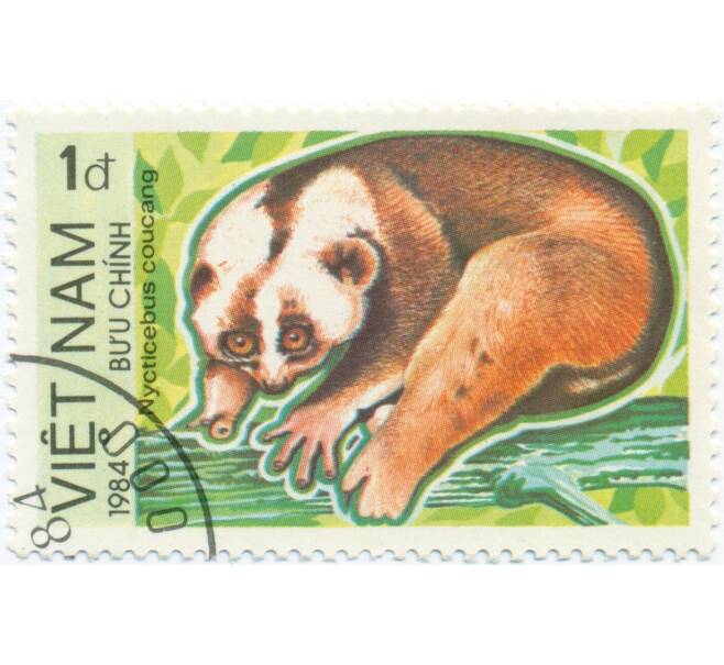 Почтовая марка 1 донг 1984 года Вьетнам «Медленный лори» (Артикул: T11-14707) — Фото №1