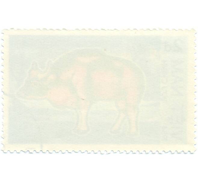 Почтовая марка 50 хао 1984 года Вьетнам «Тигр» (Артикул: T11-14709) — Фото №2