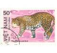 Почтовая марка 50 хао 1984 года Вьетнам «Леопард» (Артикул: T11-14710) — Фото №1