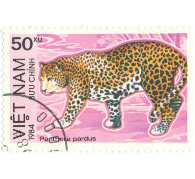 Почтовая марка 50 хао 1984 года Вьетнам «Леопард» (Артикул: T11-14710) — Фото №1
