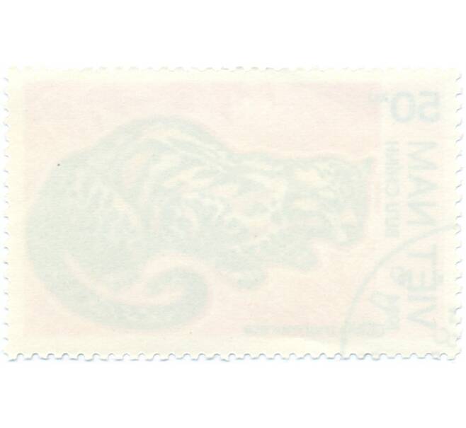 Почтовая марка 50 хао 1984 года Вьетнам «Мраморная кошка» (Артикул: T11-14711) — Фото №2