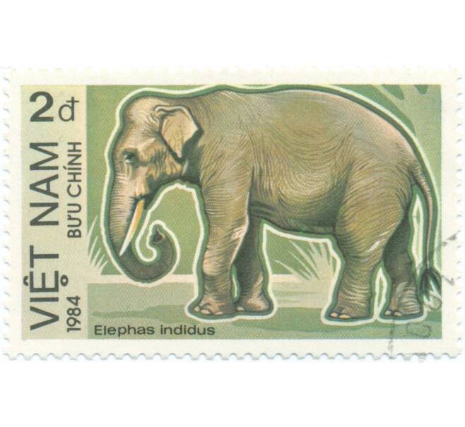 Почтовая марка 2 донга 1984 года Вьетнам «Индийский слон» (Артикул: T11-14712) — Фото №1