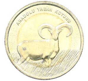 1 лира 2015 года Турция «Фауна Турции — Муфлон» — Фото №1