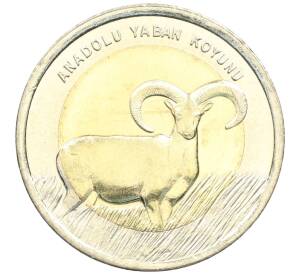 1 лира 2015 года Турция «Фауна Турции — Муфлон» — Фото №1