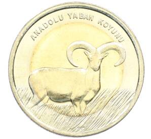 1 лира 2015 года Турция «Фауна Турции — Муфлон» — Фото №1