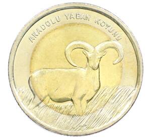 1 лира 2015 года Турция «Фауна Турции — Муфлон» — Фото №1