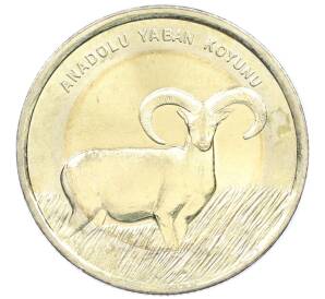1 лира 2015 года Турция «Фауна Турции — Муфлон» — Фото №1