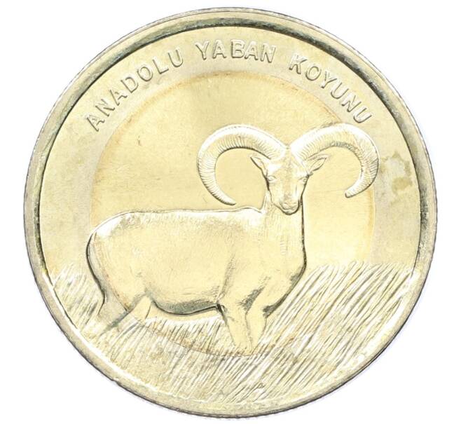 Монета 1 лира 2015 года Турция «Фауна Турции — Муфлон» (Артикул: M2-82905) — Фото №1