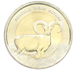 1 лира 2015 года Турция «Фауна Турции — Муфлон» — Фото №1